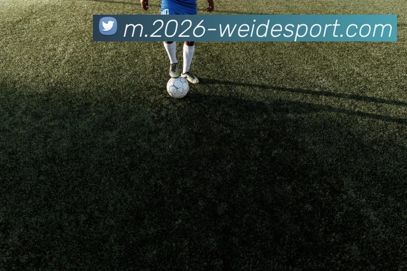 伟德体育服务体系